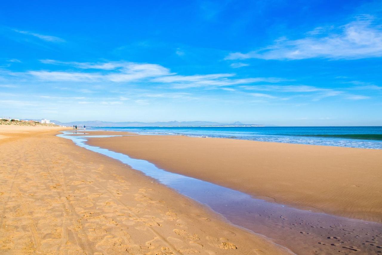 Bosque Daire Playa Flamenca Dış mekan fotoğraf